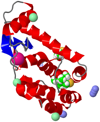 Image Asym./Biol. Unit