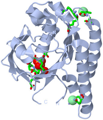 Image Biol. Unit 1 - sites