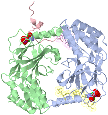 Image Asym./Biol. Unit