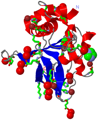 Image Asym./Biol. Unit - sites