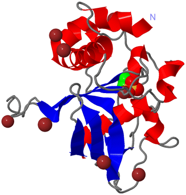 Image Asym./Biol. Unit