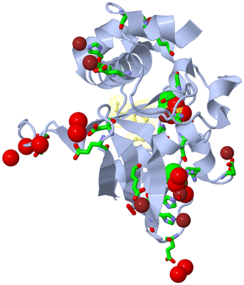 Image Asym./Biol. Unit - sites