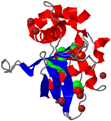 Image Asym./Biol. Unit