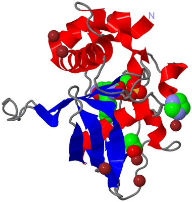 Image Asym./Biol. Unit