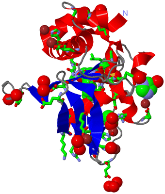 Image Asym./Biol. Unit - sites