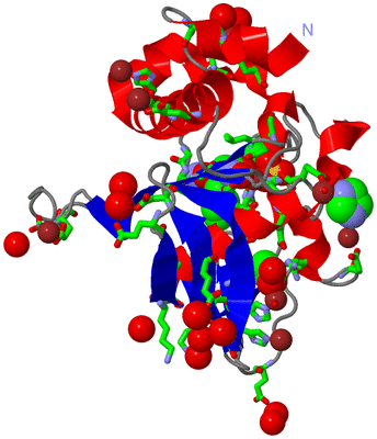 Image Asym./Biol. Unit - sites