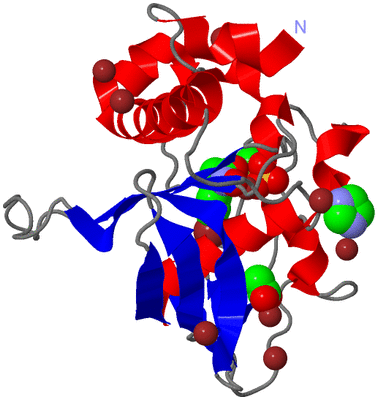 Image Asym./Biol. Unit