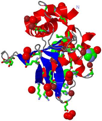 Image Asym./Biol. Unit - sites