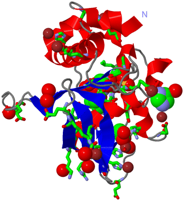 Image Asym./Biol. Unit - sites