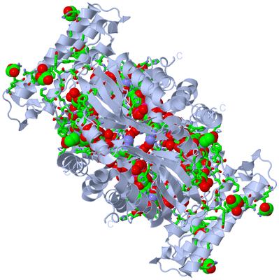 Image Biol. Unit 1 - sites