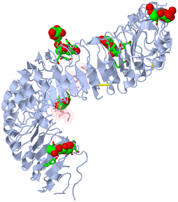 Image Biol. Unit 1 - sites