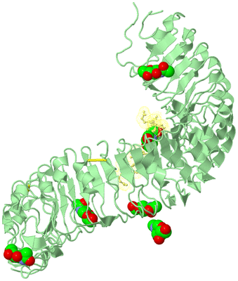 Image Biological Unit 2