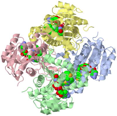 Image Asym./Biol. Unit