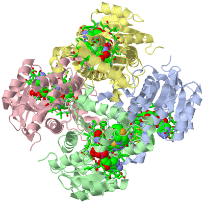 Image Asym./Biol. Unit - sites