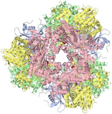 Image Biological Unit 1