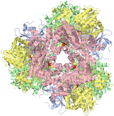 Image Biol. Unit 1 - sites