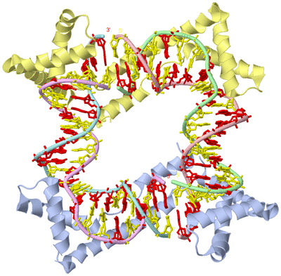 Image Biological Unit 1