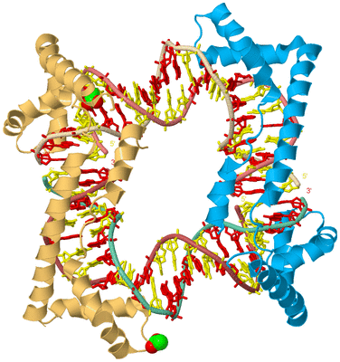 Image Biological Unit 2