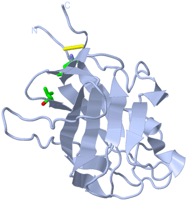 Image Biol. Unit 1 - sites