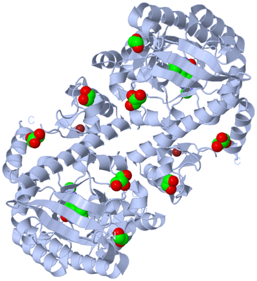 Image Biological Unit 1