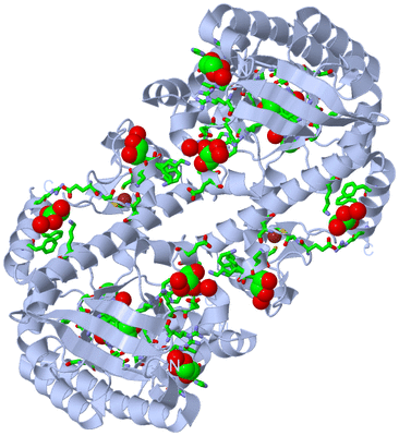 Image Biol. Unit 1 - sites