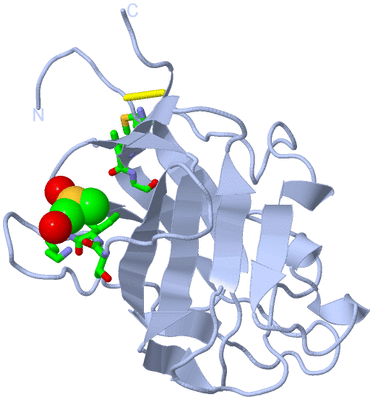 Image Biol. Unit 1 - sites