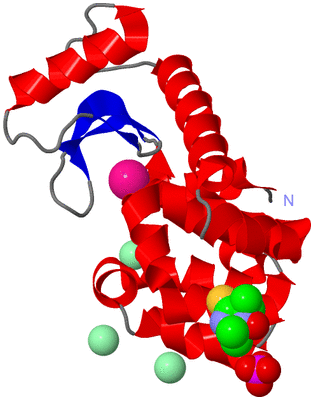 Image Asym./Biol. Unit