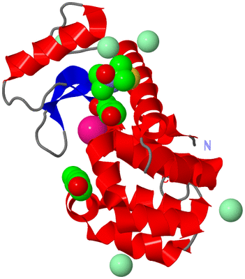 Image Asym./Biol. Unit