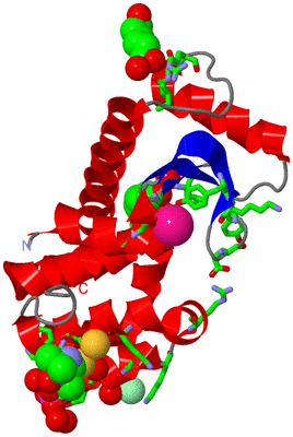 Image Asym./Biol. Unit - sites