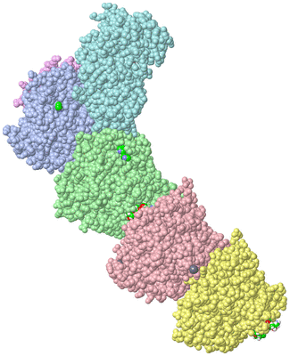 Image Asym./Biol. Unit