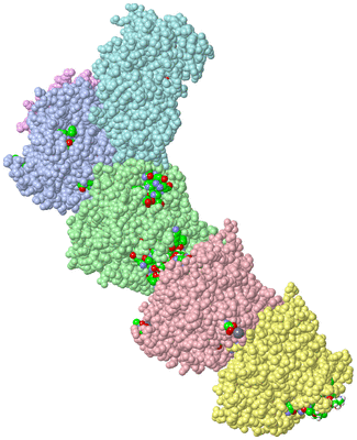 Image Asym./Biol. Unit - sites