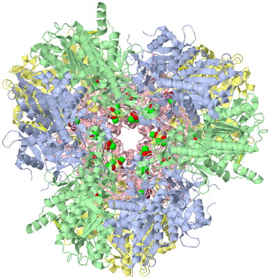 Image Biological Unit 1