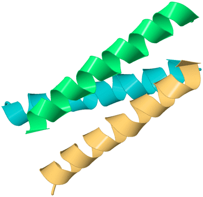 Image Biological Unit 8