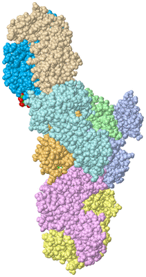 Image Asym./Biol. Unit