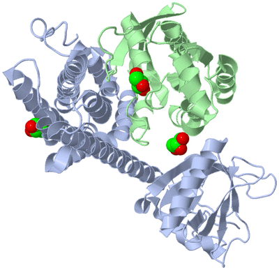 Image Biological Unit 1