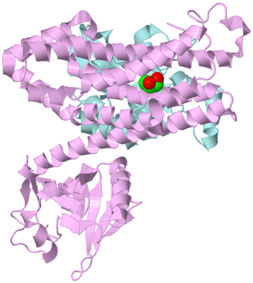 Image Biological Unit 2