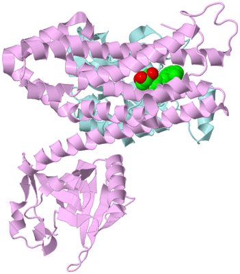 Image Biological Unit 2