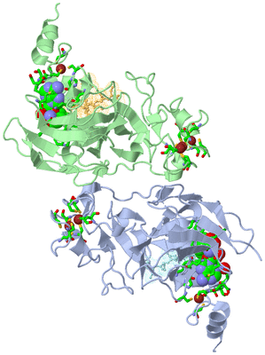 Image Asym./Biol. Unit - sites