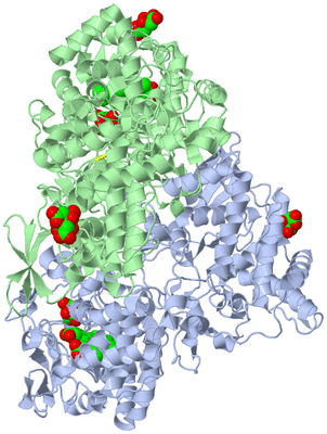 Image Asym./Biol. Unit