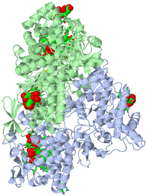 Image Asym./Biol. Unit - sites