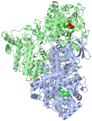 Image Asym./Biol. Unit