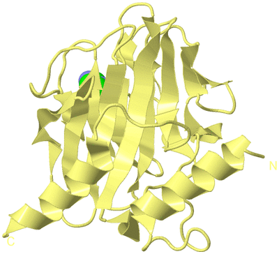 Image Biological Unit 4