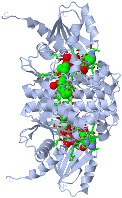 Image Biol. Unit 1 - sites