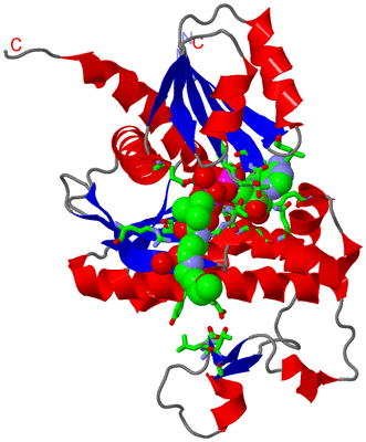 Image Asym. Unit - sites