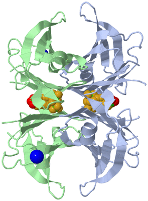 Image Biological Unit 1