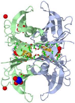 Image Biol. Unit 1 - sites