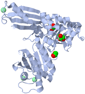 Image Biological Unit 2