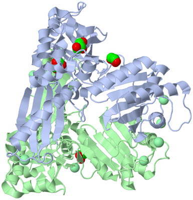 Image Biological Unit 3