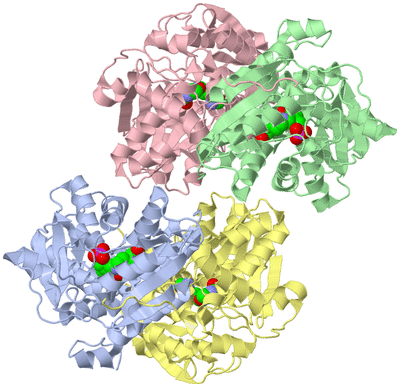 Image Asymmetric Unit