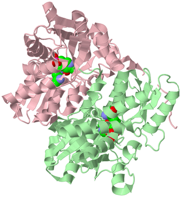 Image Biological Unit 2